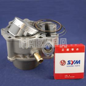 Цилиндр двигателя в сборе (поршень, кольца) Gamax 600, SYM 600